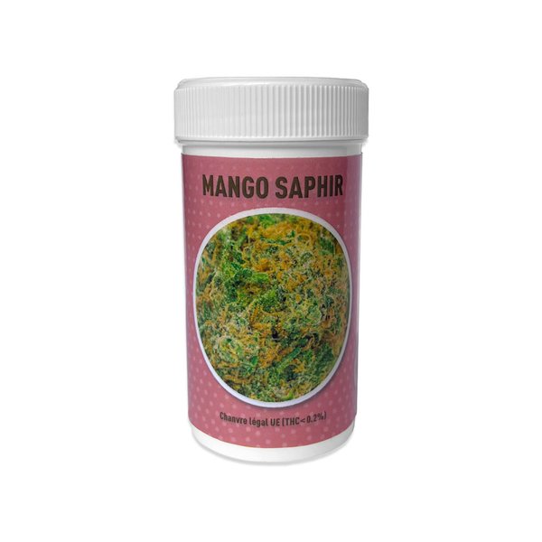 MANGO SAPHIR - 4G